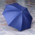 蓝色银柄伞