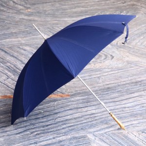 蓝色银柄伞