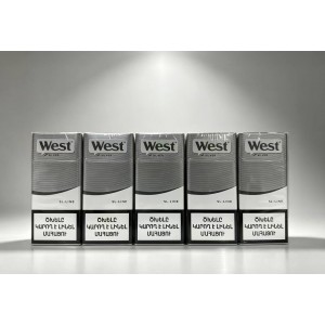 亚美尼亚威斯West中支加长银色