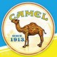 骆驼香烟Camle