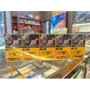 越南骆驼Camel橙色