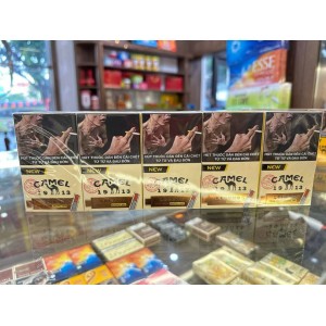 越南骆驼Camel黄色 越南骆驼Camel黄色